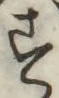 글자 す