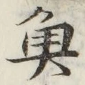 文字魚