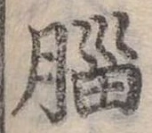 腦の位置