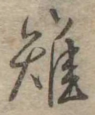 雉 위치 확인됨