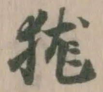 狵の位置