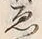 글자 ゑ