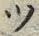글자 ツ