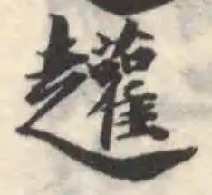 䟒の位置