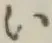 글자 い