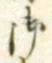 𡨸御