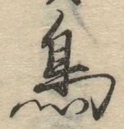 鳥 위치 확인됨