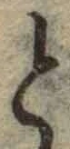 글자 と