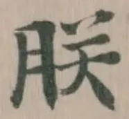 朕の位置