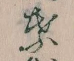 位置定マレル葉