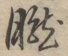 朧 위치 확인됨