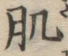 文字肌