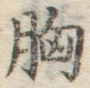 Chữ 胸