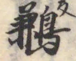 鶼の位置