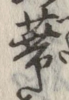 蔕の位置