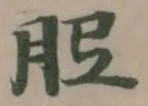 𦙠 위치 확인됨