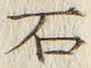 「石」字