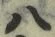 字八