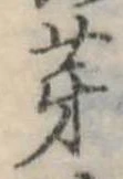 芽 위치 확인됨