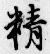 精 위치 확인됨
