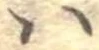 𛂞 위치 확인됨