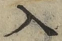 字入