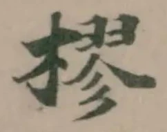 樛 위치 확인됨