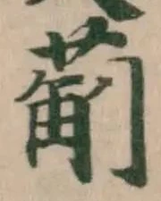 葪の位置