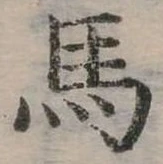 馬 위치 확인됨
