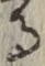 글자 る