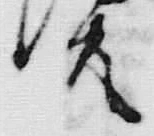Chữ 共