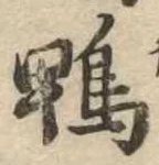鴨 위치 확인됨