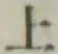 字上