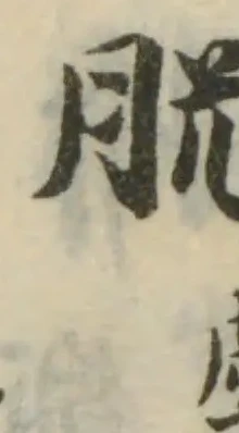 Đã định vị 𦙿