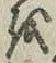 文字 を