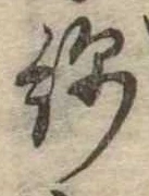 Đã định vị 綿