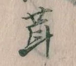 茸 위치 확인됨