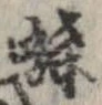 已定位蝶