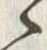 文字主
