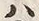 「は」字