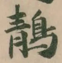 鶄 위치 확인됨
