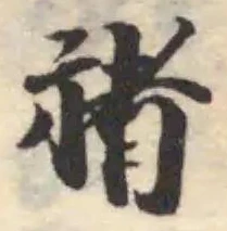 禇の位置