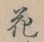 花 위치 확인됨