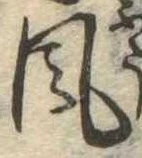 位置定マレル風