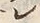 文字レ