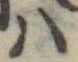 𛂞の位置