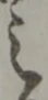 位置 確認된 之