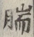 腨の位置