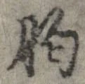 胸 위치 확인됨