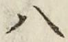 「八」字